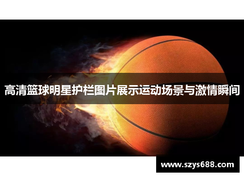 高清篮球明星护栏图片展示运动场景与激情瞬间